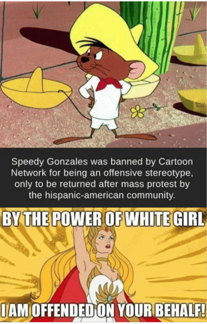 Which of these stereotype memes do you like the most?