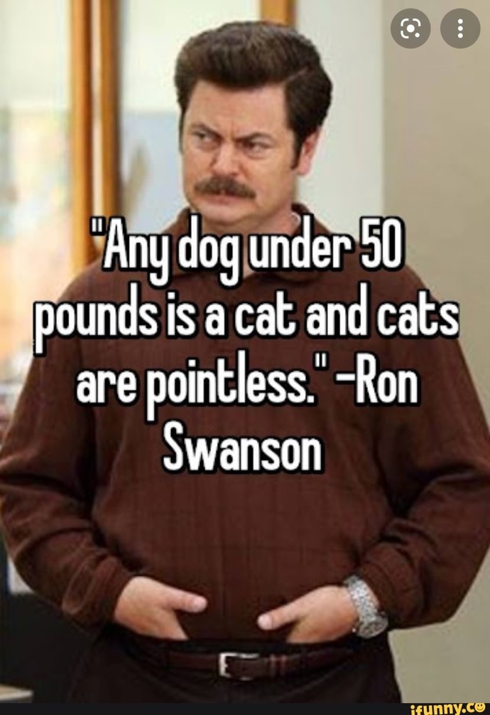 Do you prefer big or small dogs?