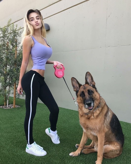 Do you prefer big or small dogs?