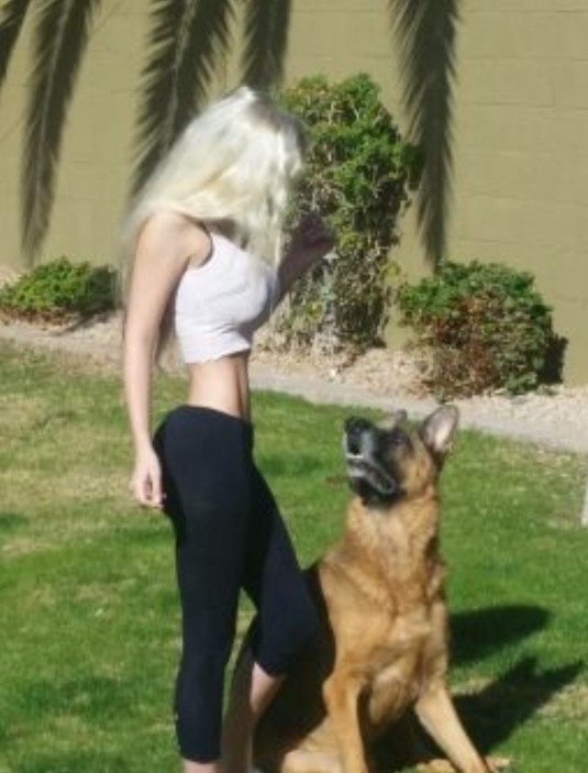 Do you prefer big or small dogs?