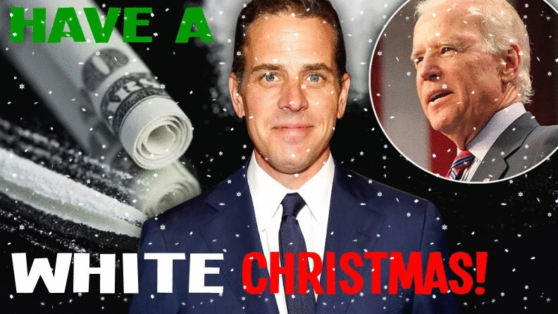 What country hasn't Hunter Biden taken money from?