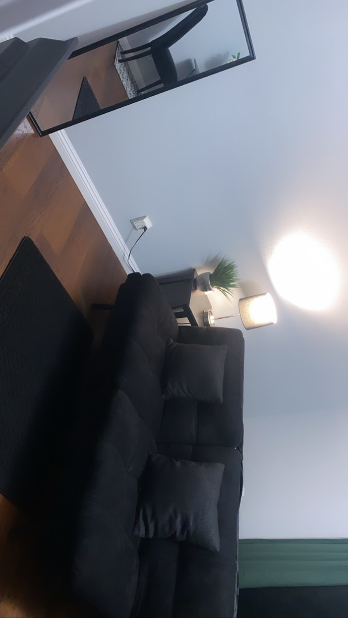 Which Rug Should I Use For My Living Room & Dining Area Help?