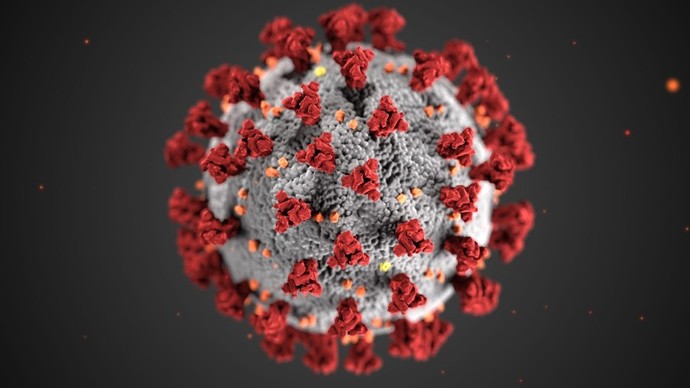Do you think the corona virus was a made up virus for a conscious mandatory vaccination?