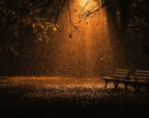 What do you like to do on rainy days?