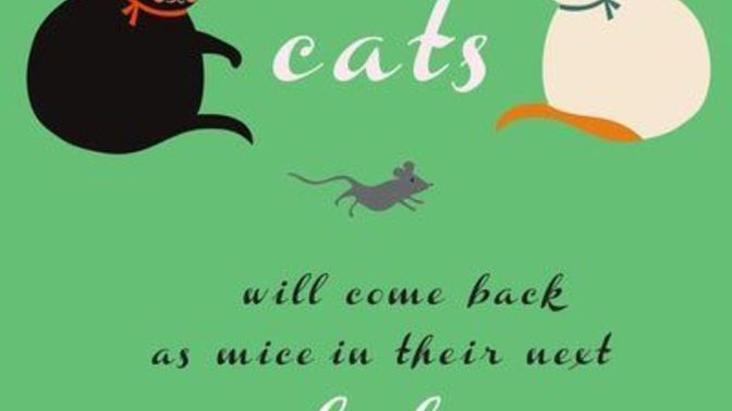 Will you date someone who hates cats?