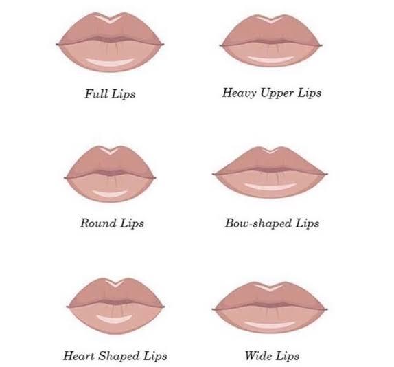 Whats your favourite lip type?