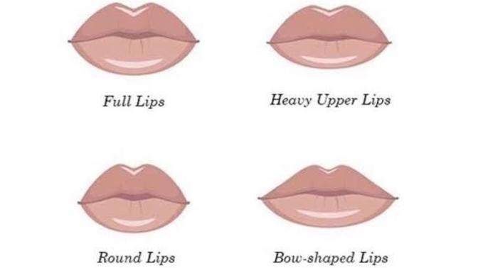 Whats your favourite lip type?