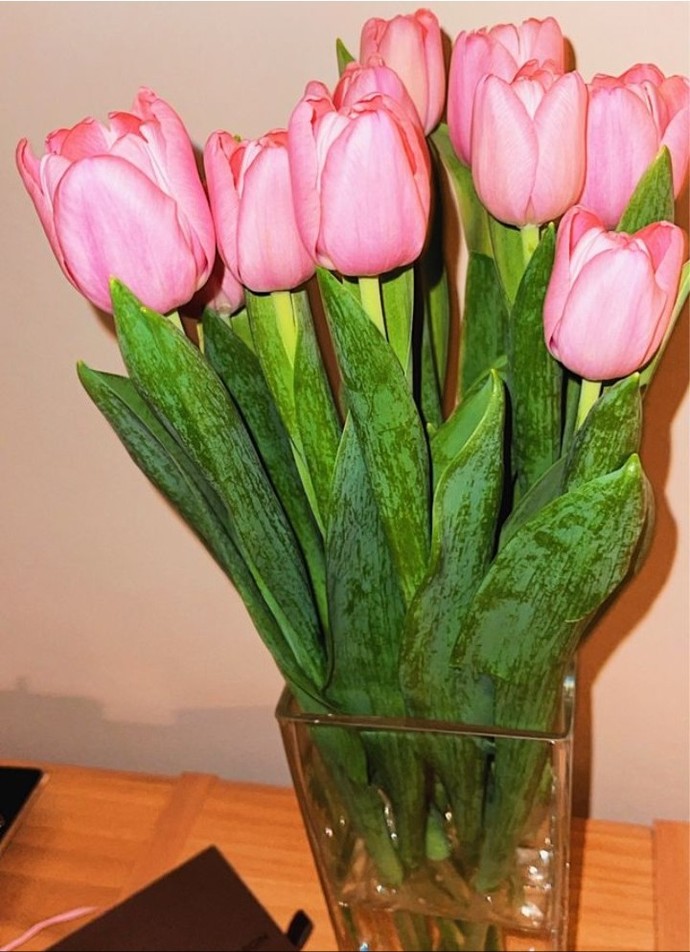 What is your favourite type of flower?
