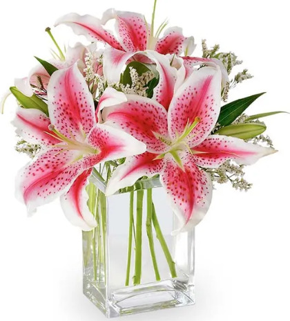 What is your favourite type of flower?