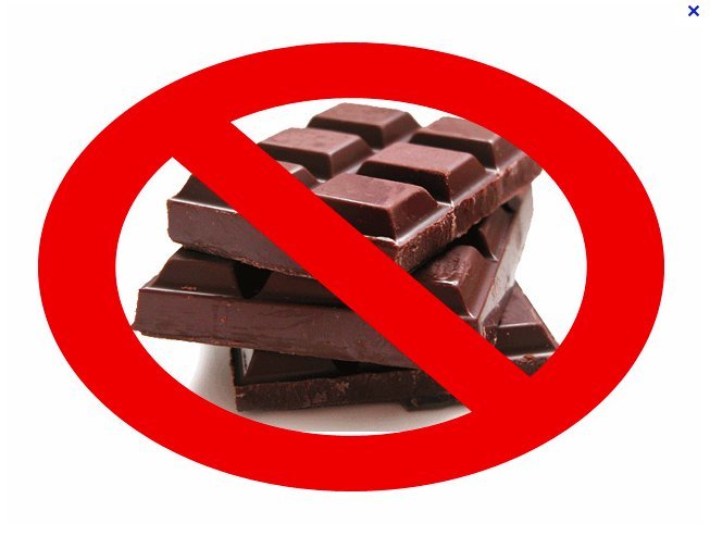 Which chocolate do you prefer?