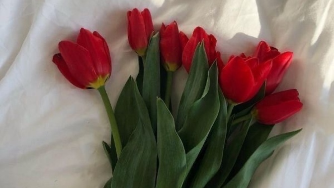 Which flower is your favorite and why?