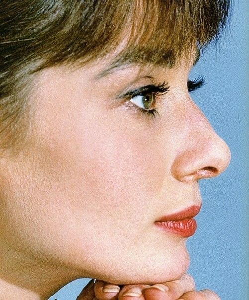Which nose type do you like best (On a woman)?
