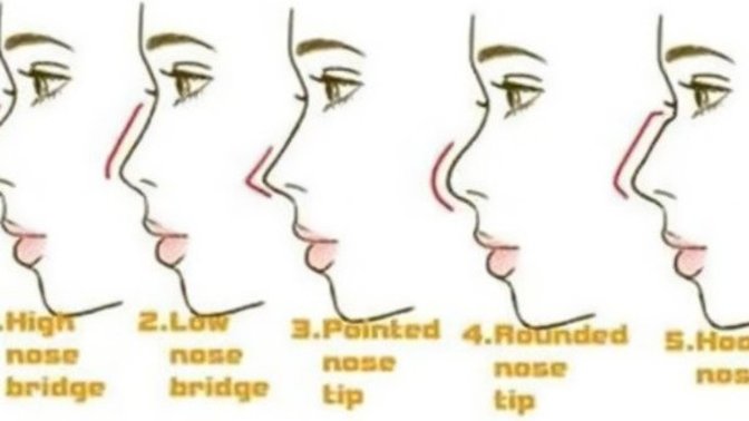 Which nose type do you like best (On a woman)?