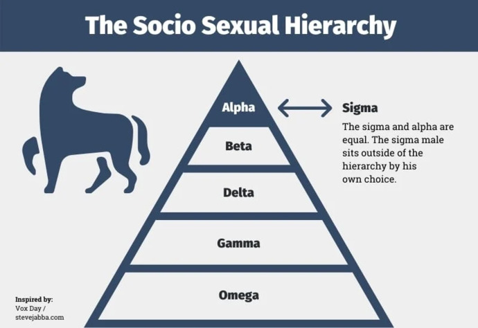 Would you date a sigma male?