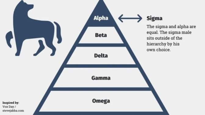 Would you date a "sigma male"?