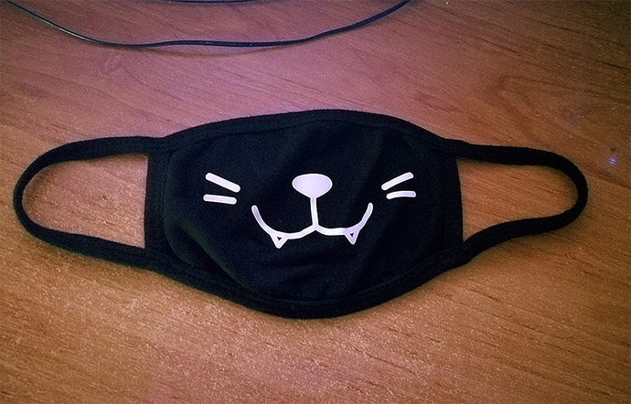 Did you like having to wear a mask?