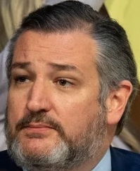 Who would you rather hang out with, Ted Cruz or a racist baby?