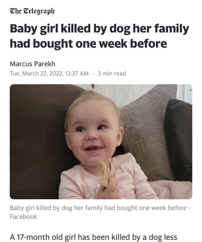 A dog killed a two year old girl. Who is at fault?