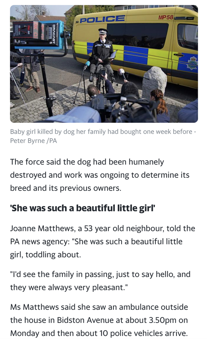 A dog killed a two year old girl. Who is at fault?