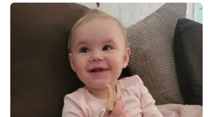 A dog killed a two year old girl. Who is at fault?