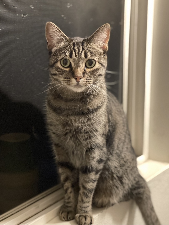 Do you have pets? If so, what do you call them?