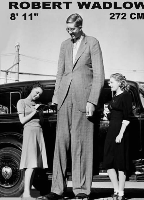 Do you think a couple with a noticeable height difference is cute?