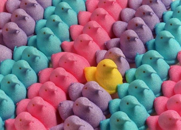 What is your favorite: Easter or Halloween?