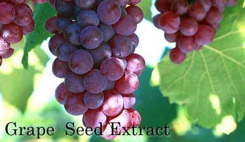 Red Grapes or Green Grapes?