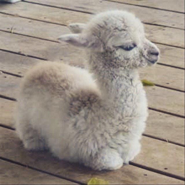 Why did he say I have a cute butt?