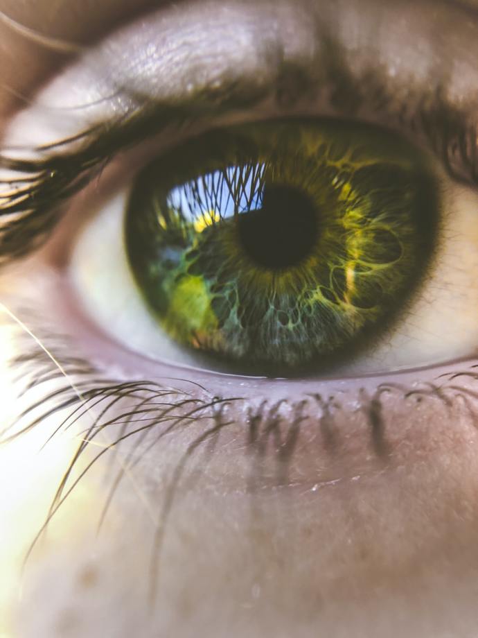 What’s the most attractive eye color?
