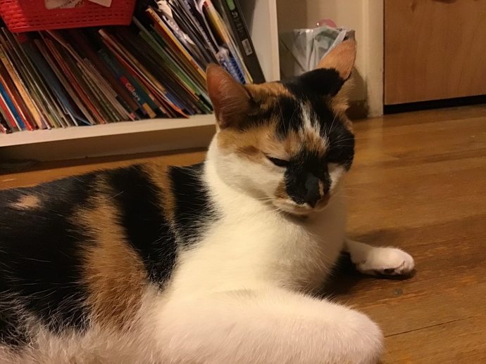 Send a pic of your pet?