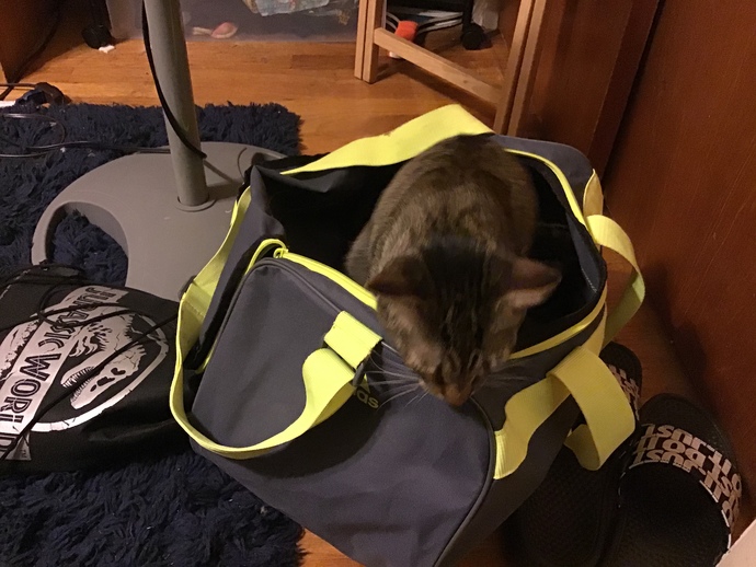 Send a pic of your pet?