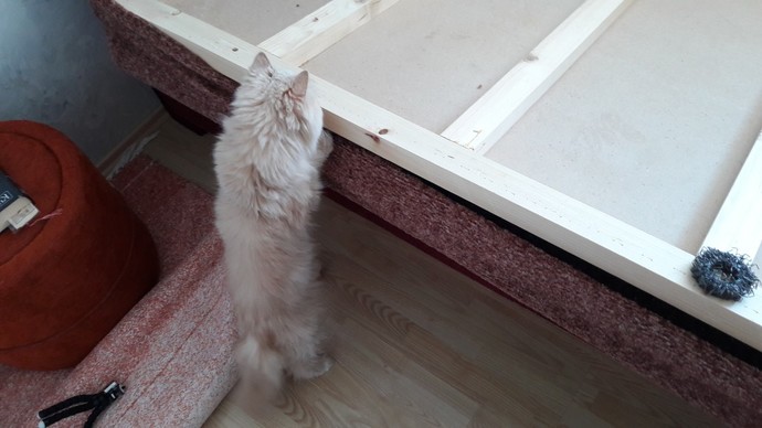 Send a pic of your pet?