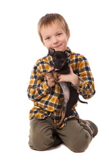 If your child asks for a puppy, would you get it for them?