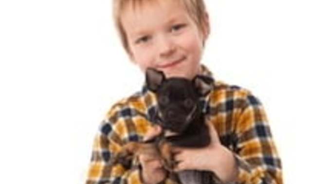 If your child asks for a puppy, would you get it for them?
