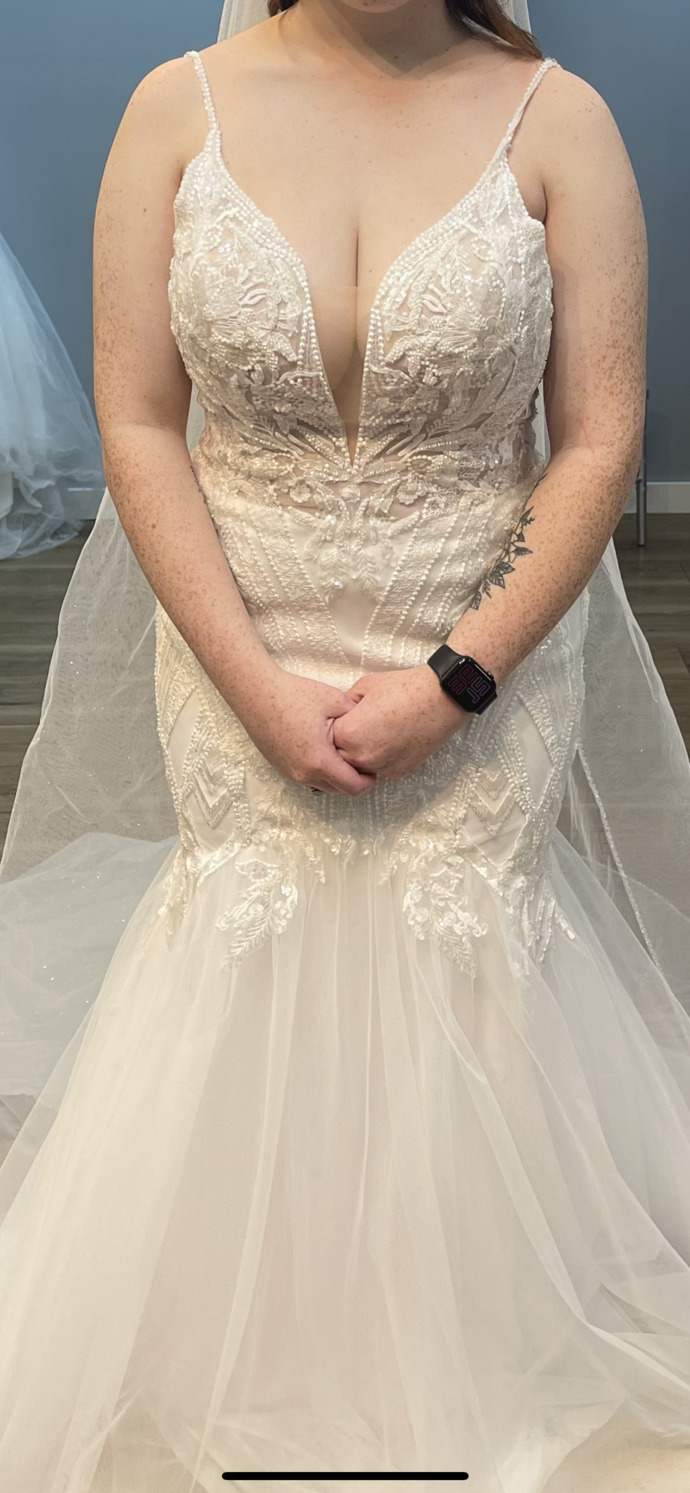 What do you think of my wedding dress?