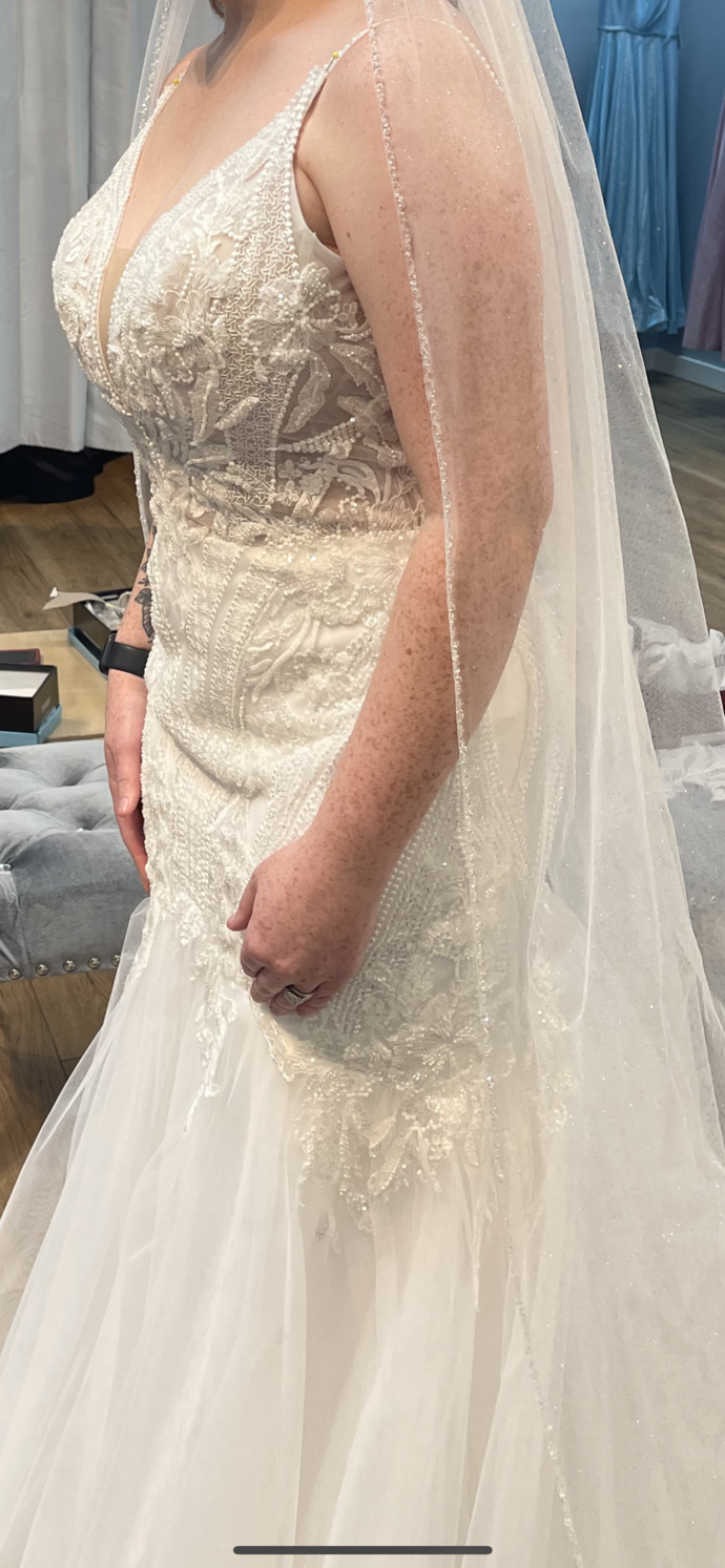 What do you think of my wedding dress?