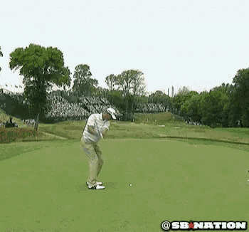 Have you ever achieved a hole-in-one shot when Mini Golfing?