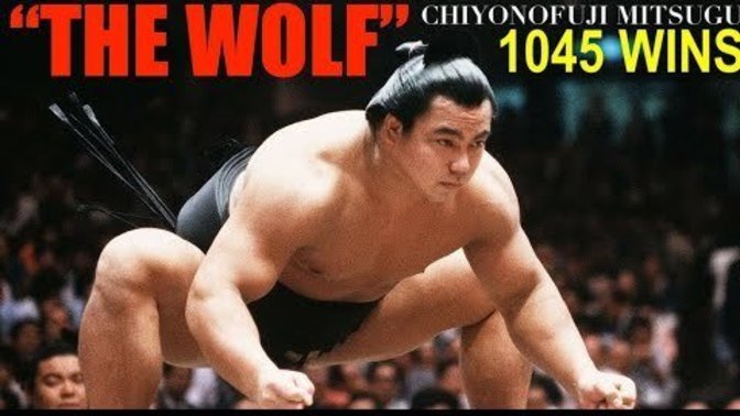 Any sumo fans out there?