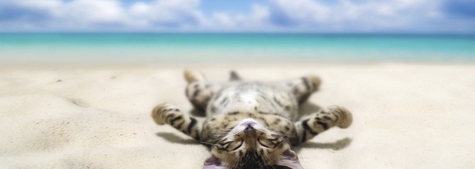 Do you like to recharge alone or around other people?