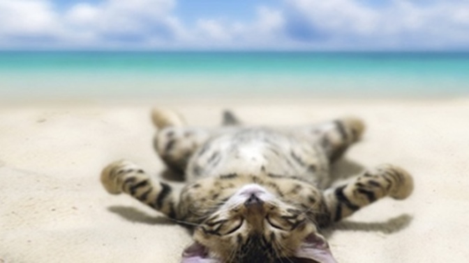 Do you like to recharge alone or around other people?