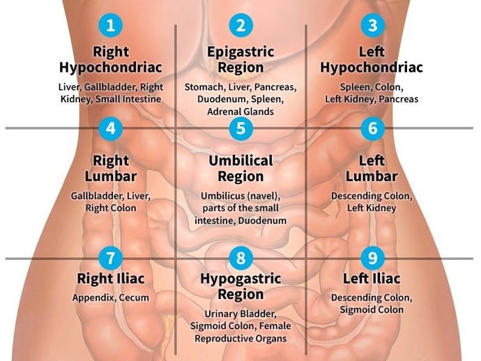 What does pain in lower abdomen cause by?