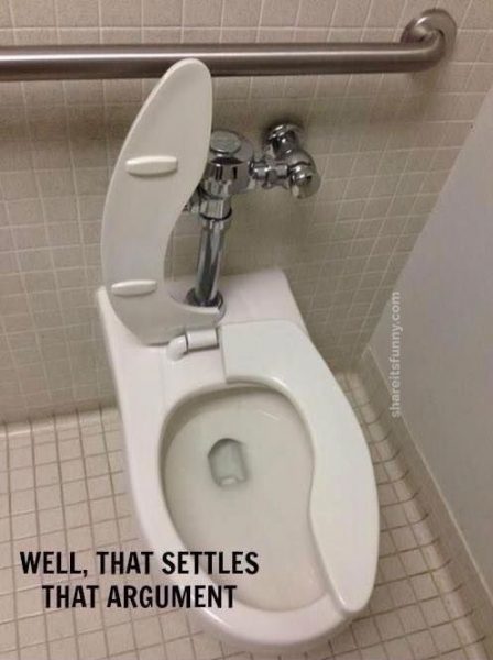 Why are guys so adamant about keeping the toilet seat up?