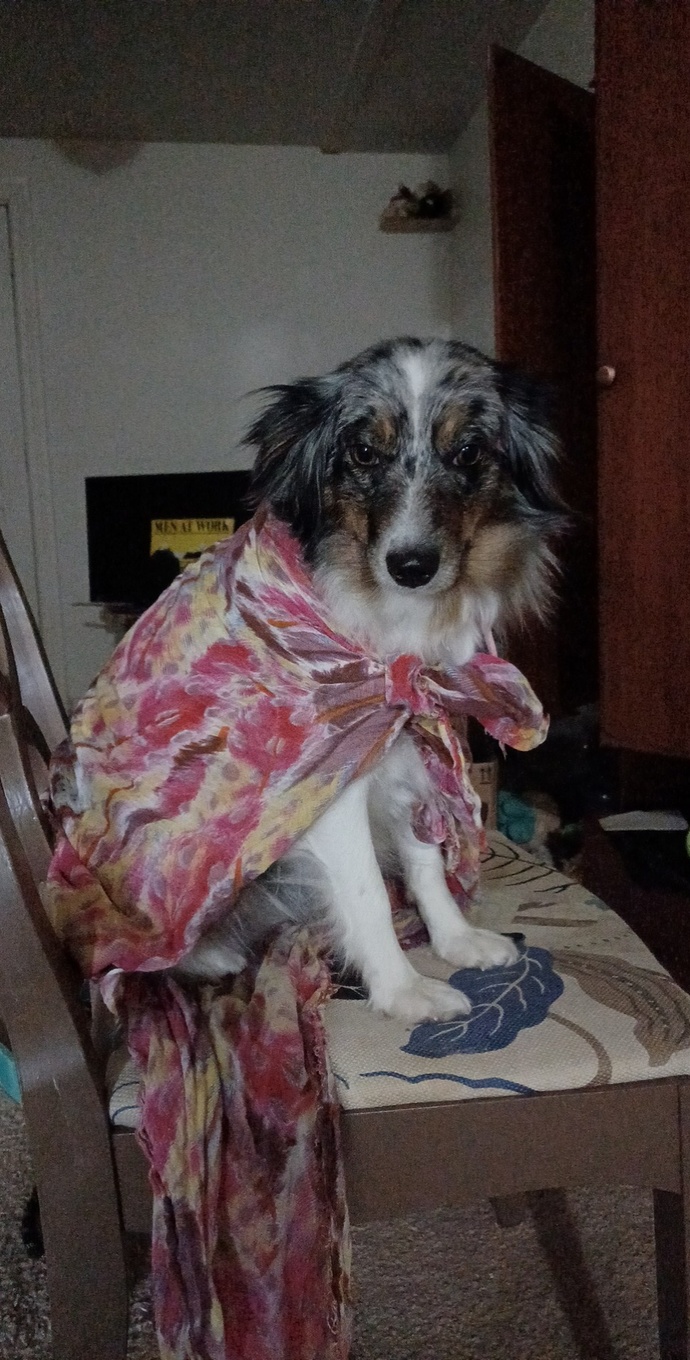 Is she a fashion icon?