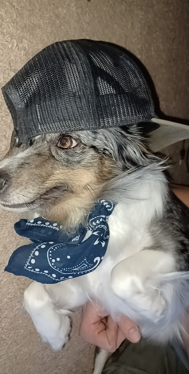 Is she a fashion icon?