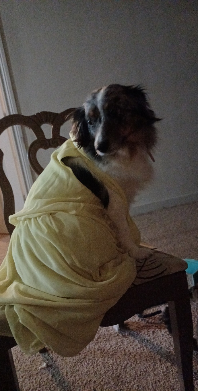 Is she a fashion icon?