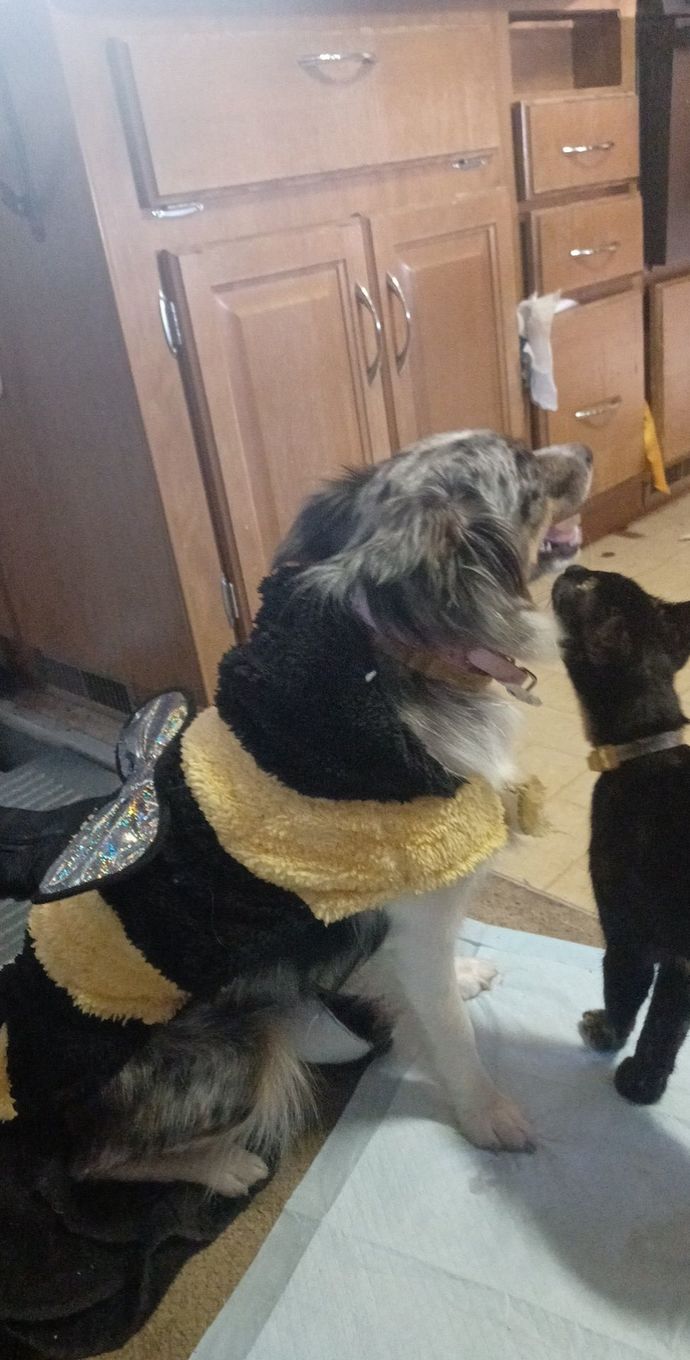 Is she a fashion icon?