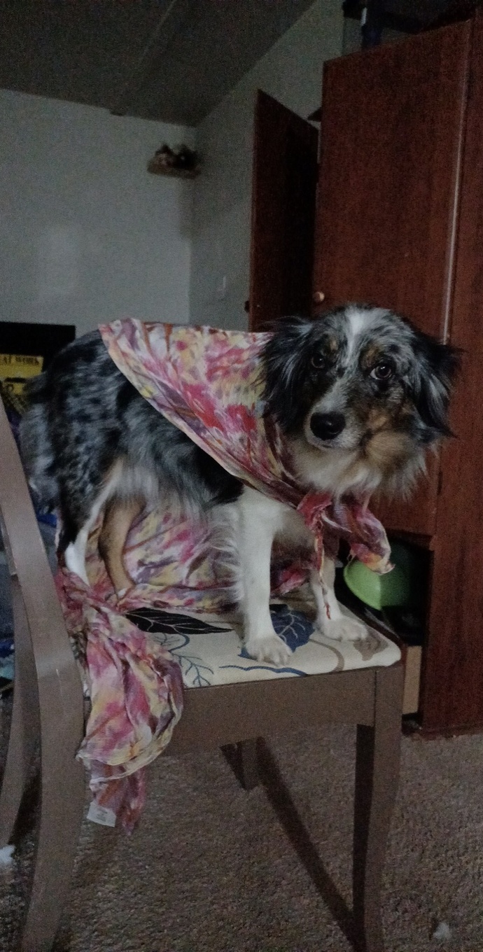 Is she a fashion icon?