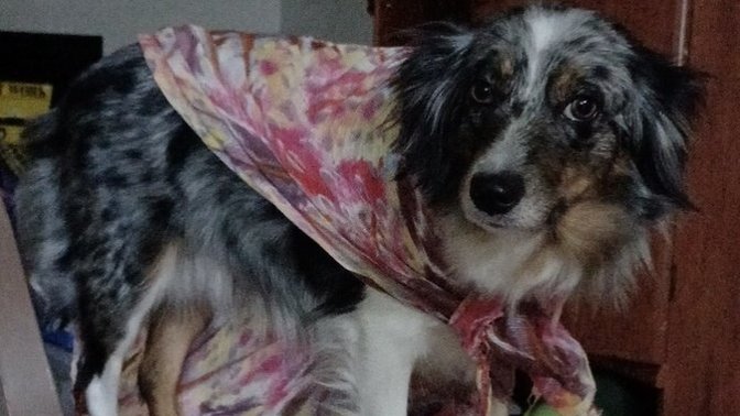 Is she a fashion icon?