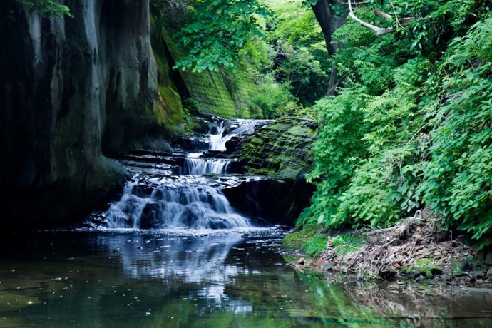 Would you show photos of your home town?